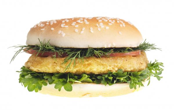 Burger