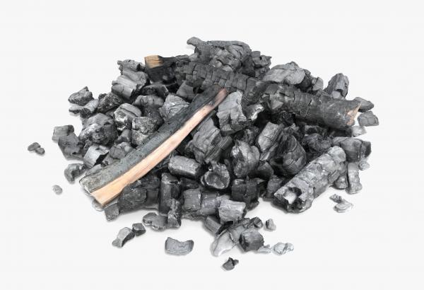 Burned Logs