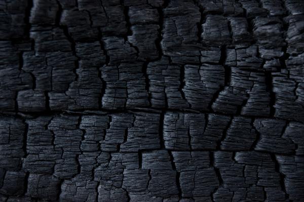 Charred Wood Texture