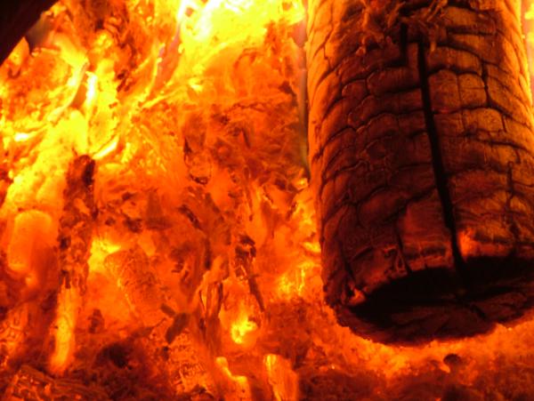 Burning Log