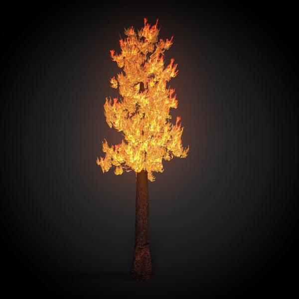 Burning Tree