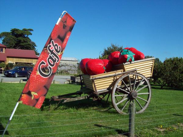 Butlers Berry Farm sugn and cart - Scene