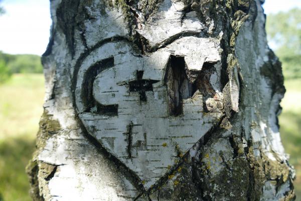 C + M Heart Embossed on Three