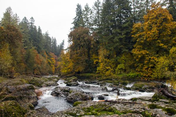 Calapooia River, Oregon