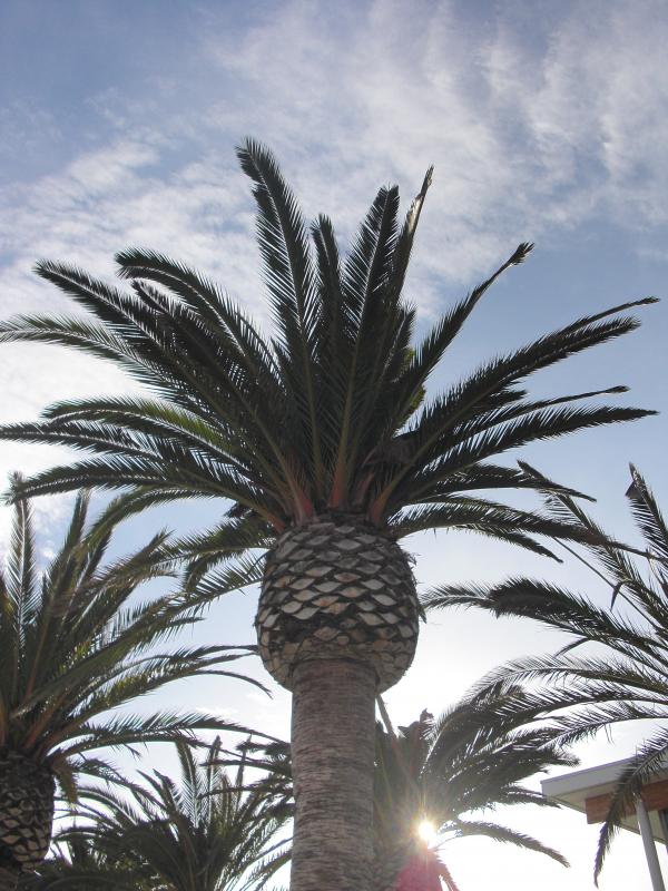 California