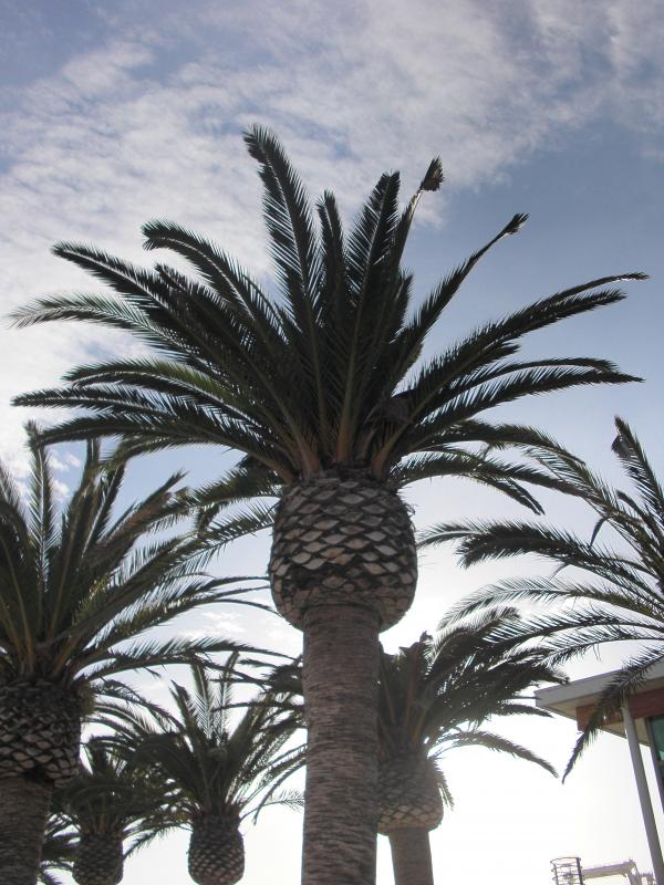 California