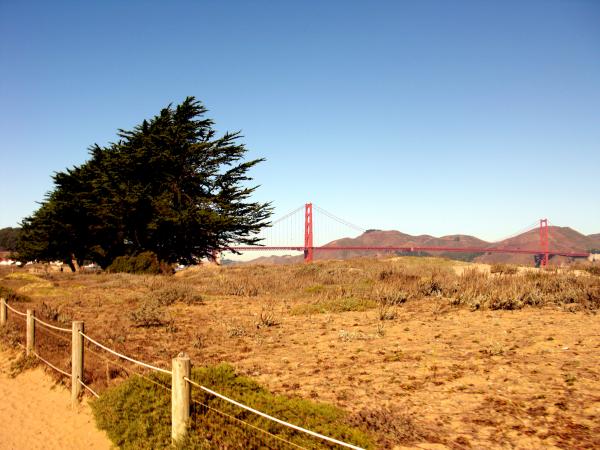 California