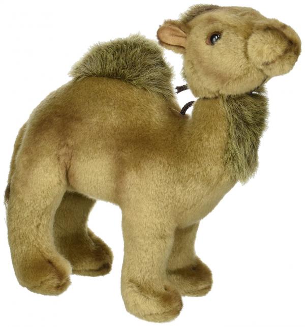 Camel