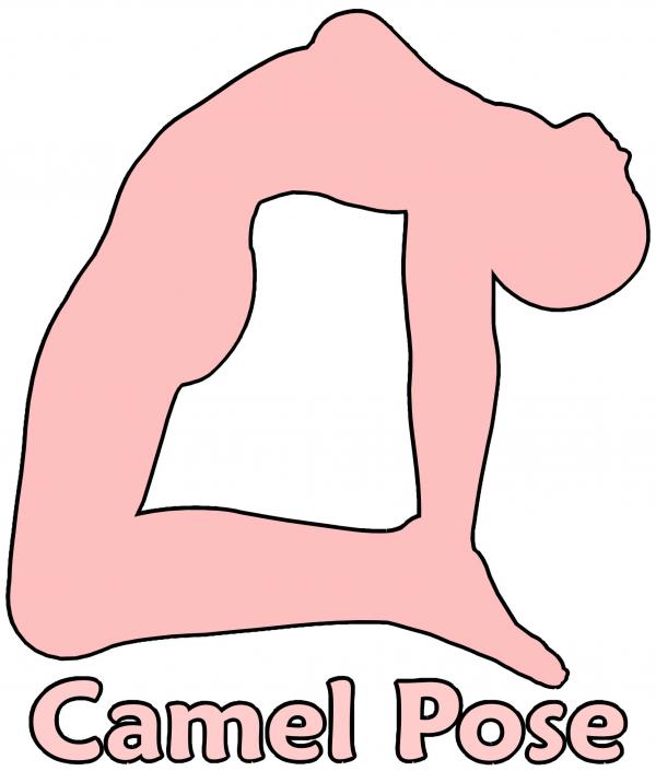 Camel Pose