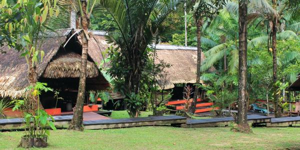 Camp