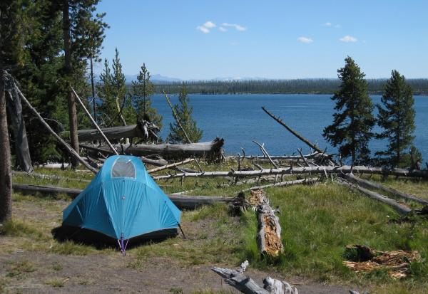 Camping in the Wild