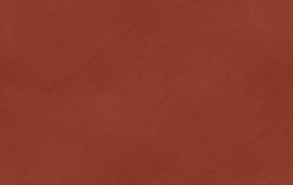 Campo Leather