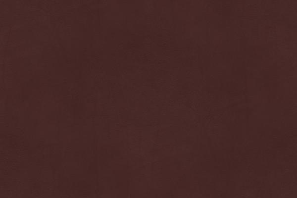 Campo Leather