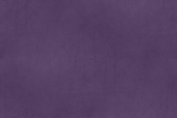 Campo Leather