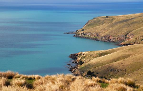Canterbury Hills