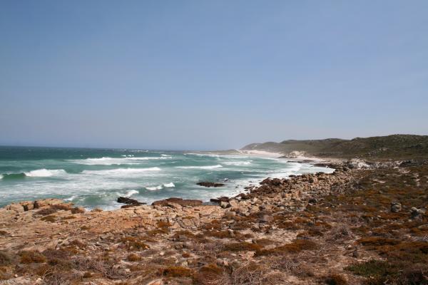 Cape of good hope