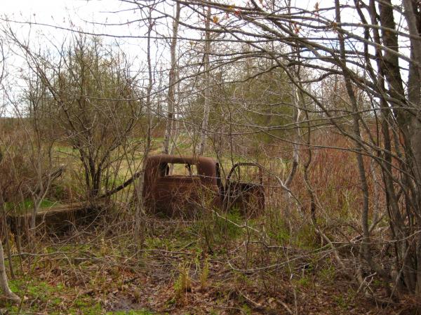 Car wreck in the woods