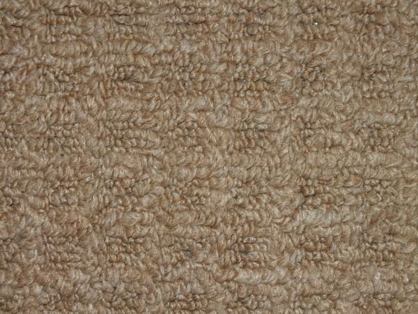 Carpet Texture
