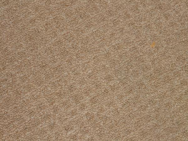 Carpet Texture