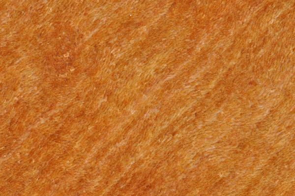 Carpet