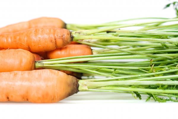 carrot