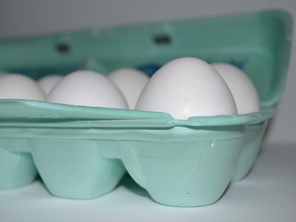 Carton of Eggs