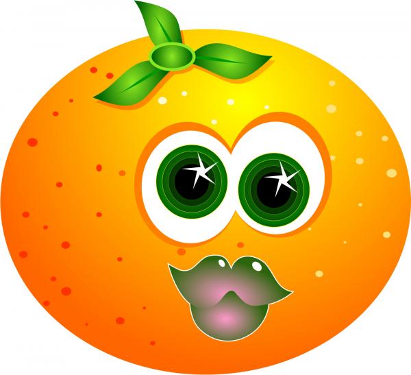 Cartoon Orange Clipart