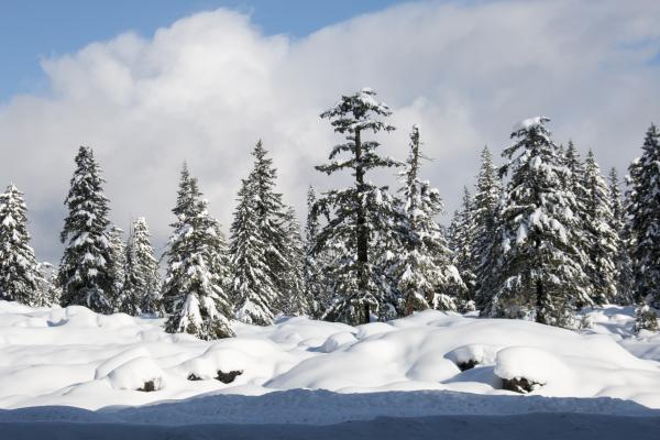 Cascade Range, Oregon