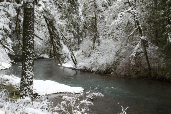 Cascadia State Park, Oregon