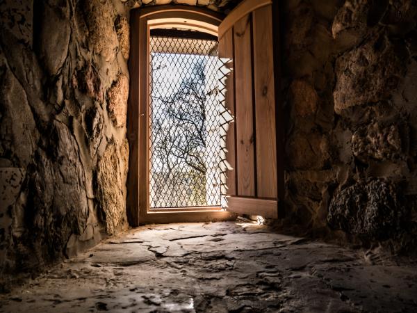 Castle window
