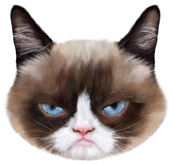 Cat face
