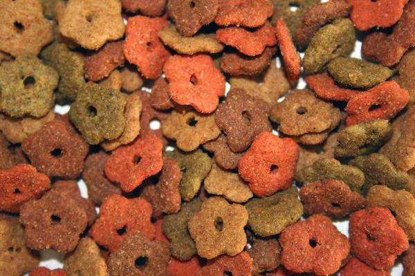 Cat food