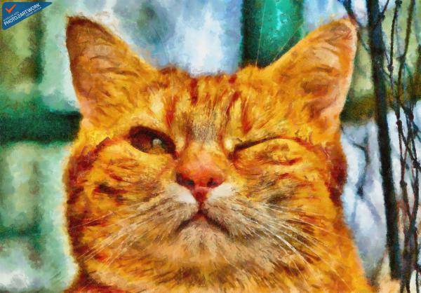Cat - ID: 16218-130639-8656