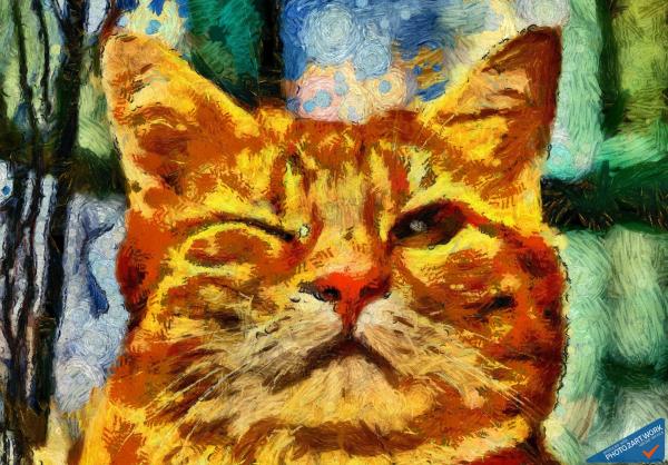 Cat - ID: 16218-130641-0379