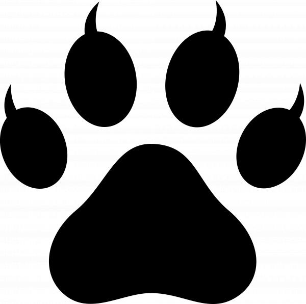 Cat paw