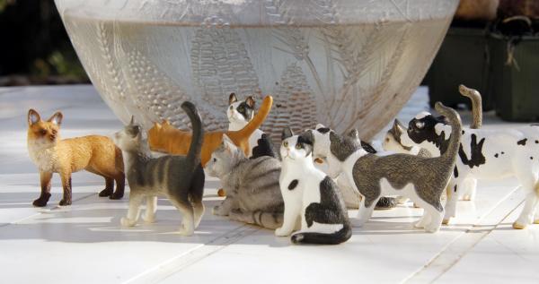 Cat Sculptures