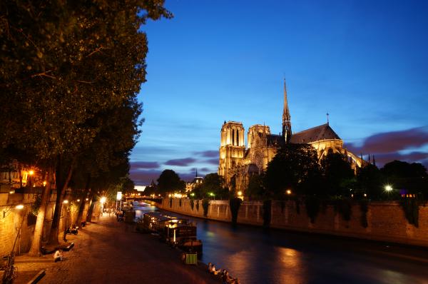 Cathédrale Notre-Dame de Paris [France]