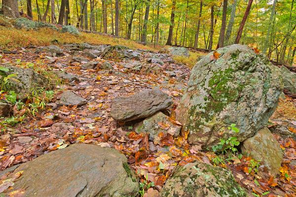 Catoctin Mountain Trail - HDR