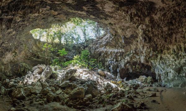 Cave Near Trees
