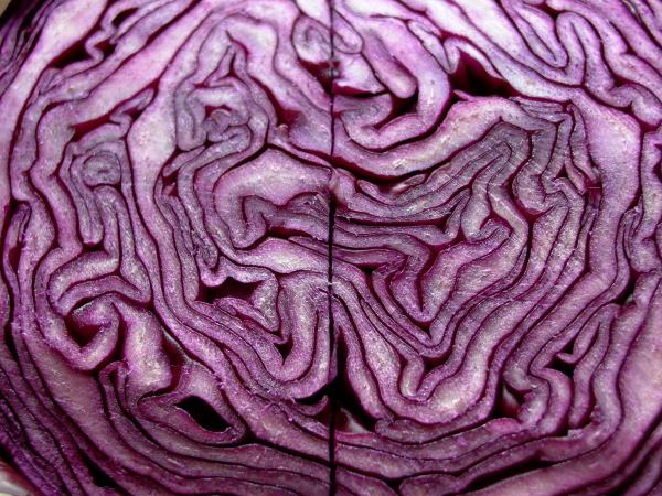 Cavolorosso