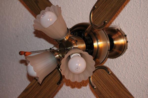 Ceiling Fan