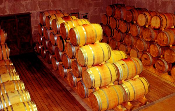 Cellar - Wooden Barrels - Douro and Port Wine Barrels