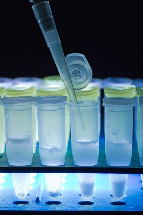 Centrifuge tubes
