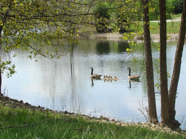 Chadwick Arboretum and Learning Gardens