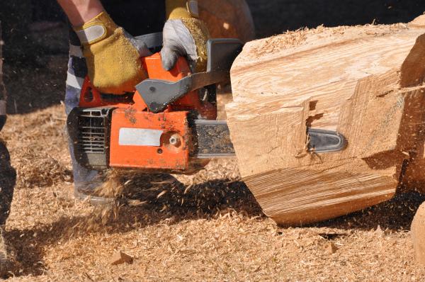 Chainsaw