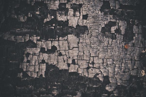 Charcoaled Wood Texture