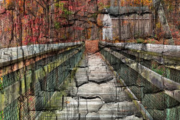 Charred Autumn Boardwalk