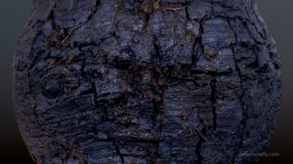 Charred Wood Stream