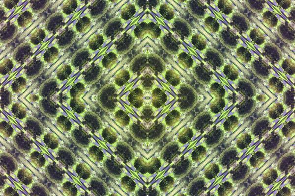 Chatelherault abstract background