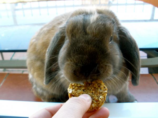 Chewy, what do you think of the homemade cookies?